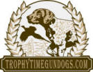 Trophy Time Gundogs